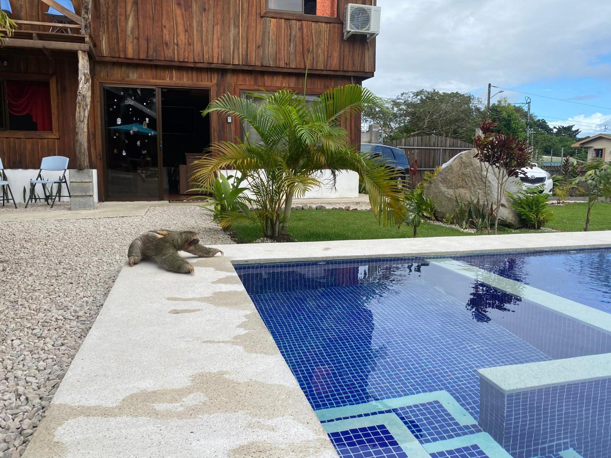 Litos #2 Holiday home *